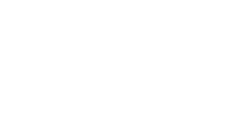 DJI
