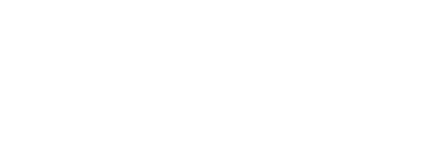 VICE